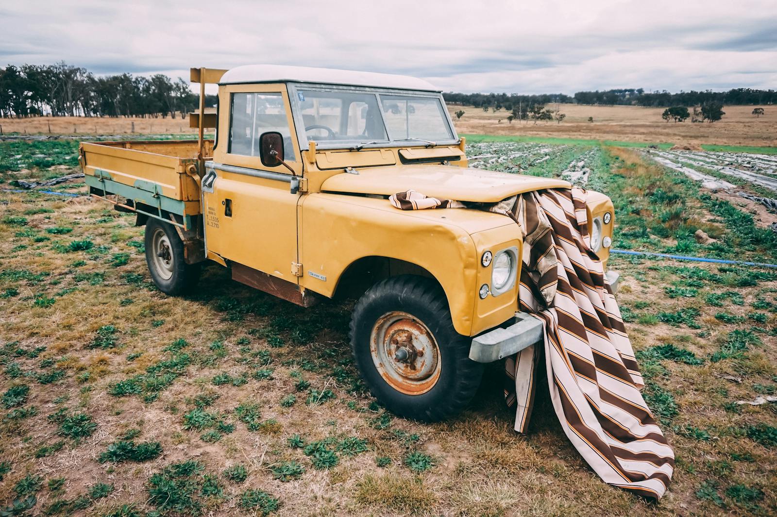 Yellow Dropside Truck on Field