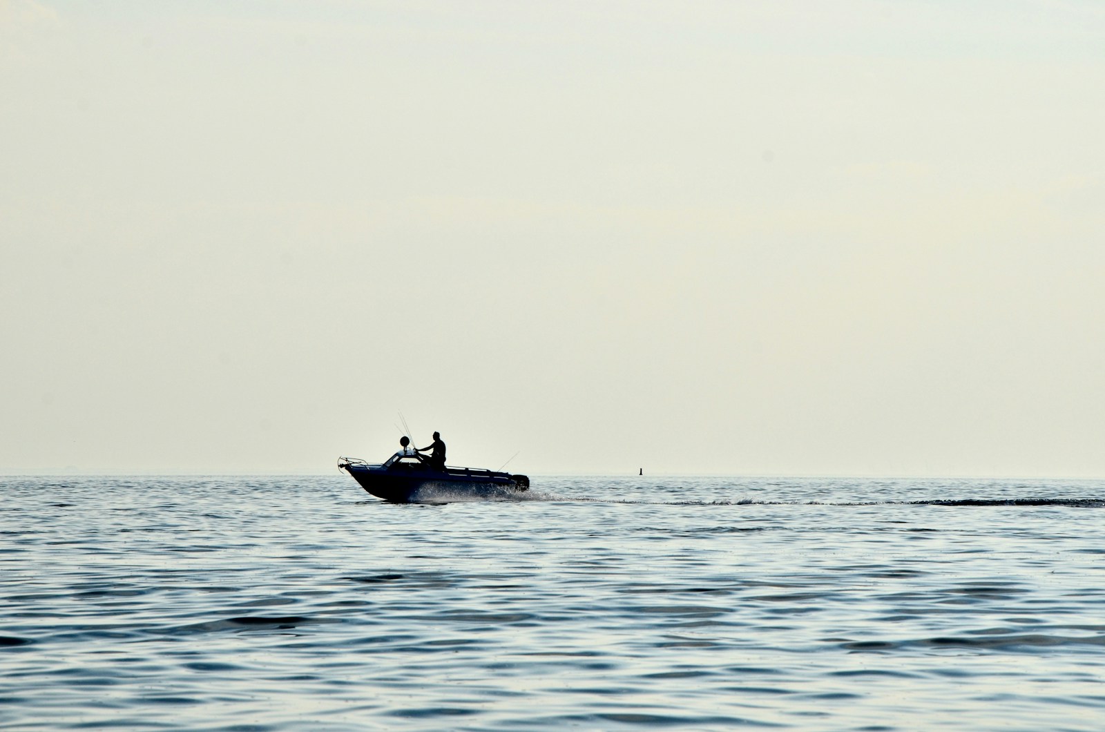 person driving speedboat on sea